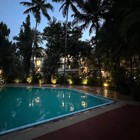 1Bhk Apartment